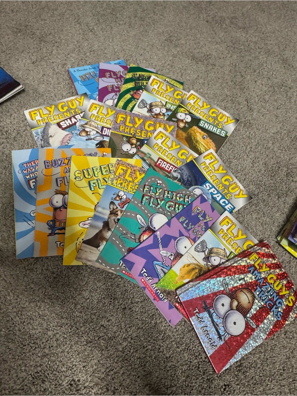 Fly Guy Kids Book Lot - Colorful Illustrated Covers